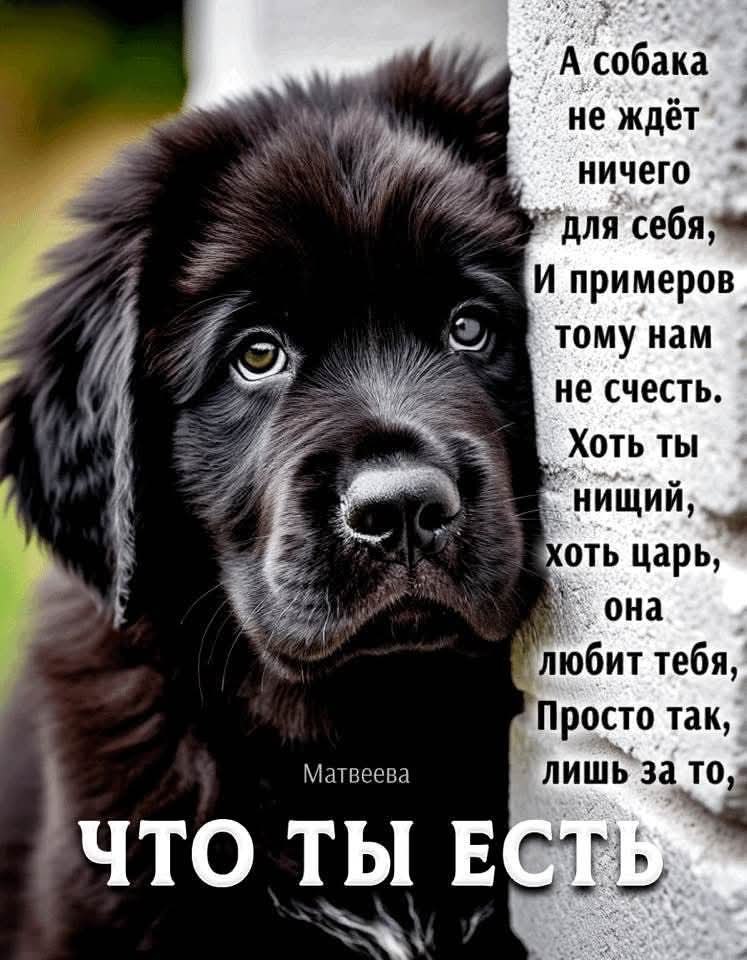 :)