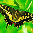 ���� ���, ������ - ��������� 18 ������� 2025 � ������ ���� ����������