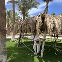 ���� �������, �����-���������, 55 ��� - ��������� 18 ������ 2026 � ������ ���� ����������