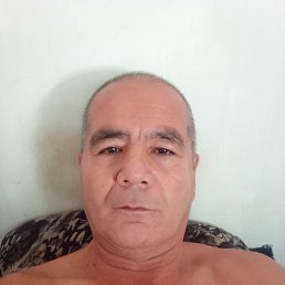 , 53, 