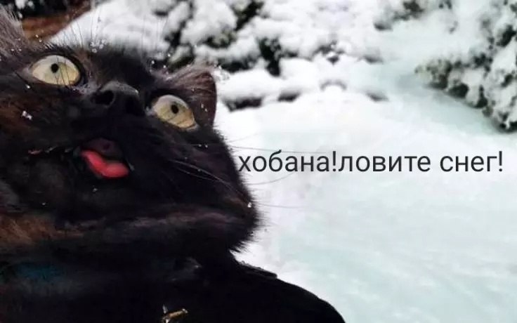 В Кировской области начинается похолодание, которое приведет к ночным заморозкам.С 27 апреля по 2 ...