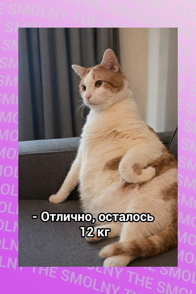� 1-�� ������: � ���� ���� �������� �� 5 ��.� 2-�� �������:
