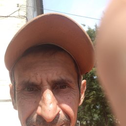 , 46, 