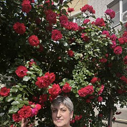 , 60, --
