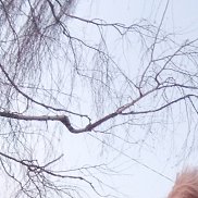 Дмитрий, 27 лет, Гомель Дмитрий, 27 лет, Гомель