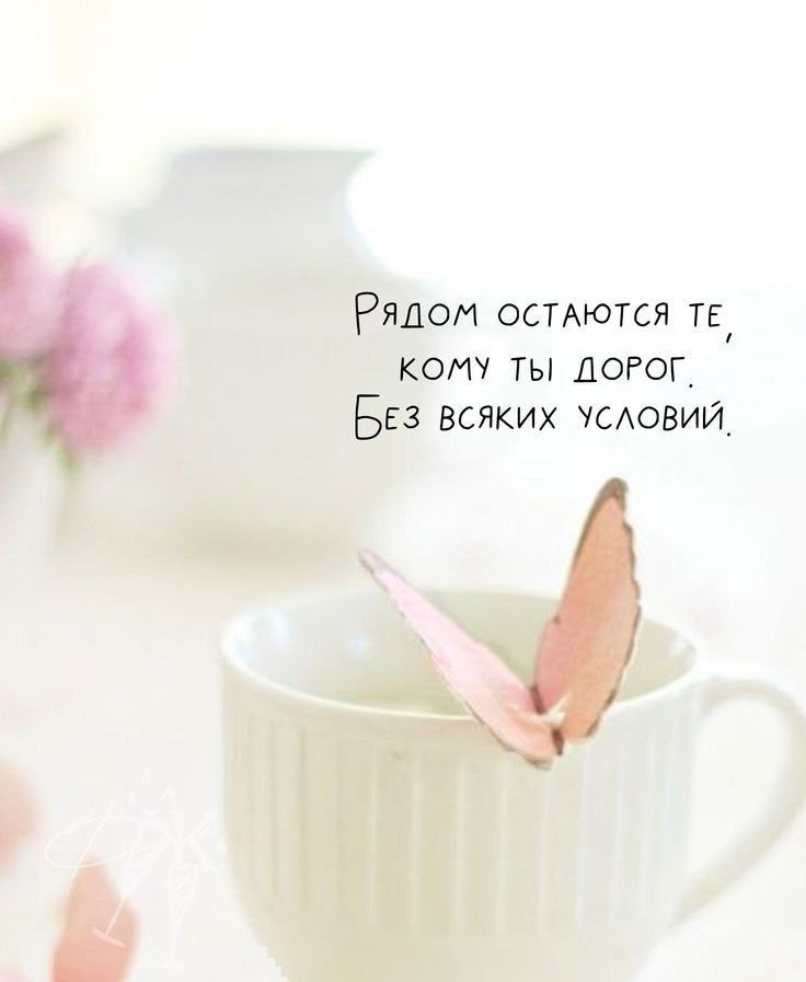   ,    . - 9  2025  16:32 - 2