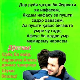 ����, ����������, 37 ���