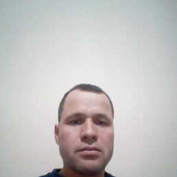  , , 39  -  8  2024