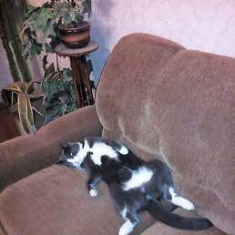 ������, ������, 59 ���