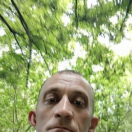, 33, 