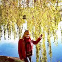 ���� ����, ���� - ��������� 27 ������ 2026 � ������ ���� ����������