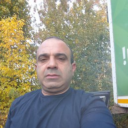 , 41, 