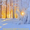 ���� ����� 288, ����� - ��������� 28 ������� 2026 � ������ ������ ��������