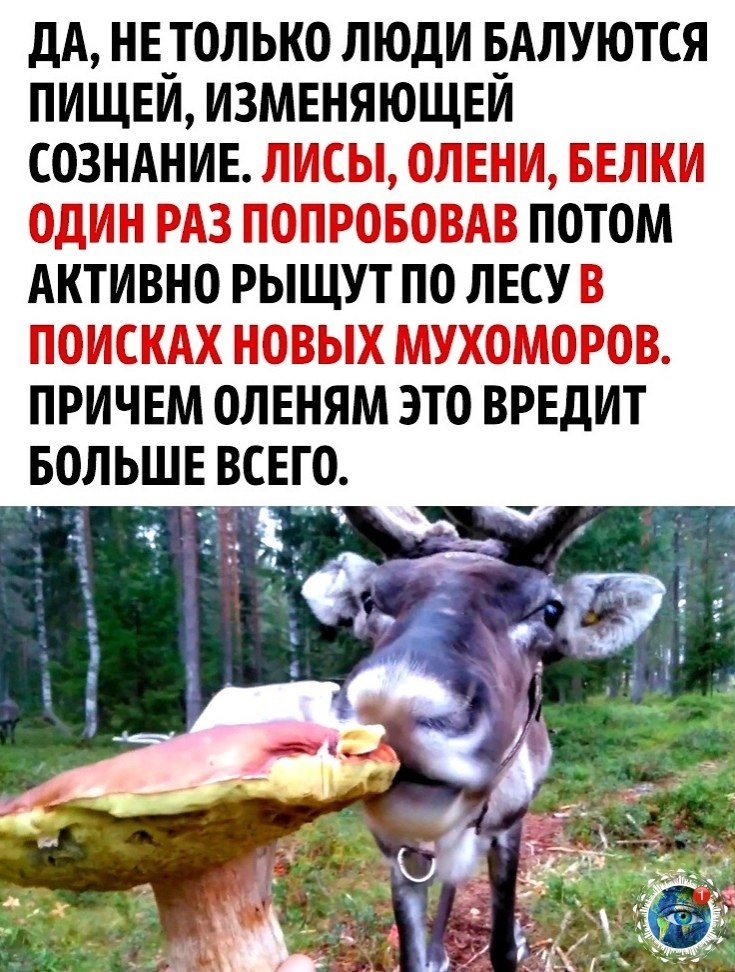 e pa ca! - 2