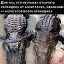  Lucifer,  -  15  2025    