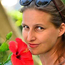 ������, ���, 35 ���