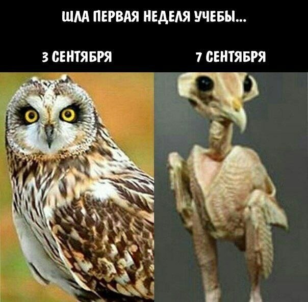    - 2  2023  06:42
