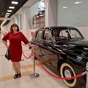 ���� ������, ������, 49 ��� - ��������� 28 ������� 2026 � ������ ���� ����������