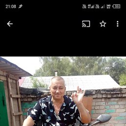 � � � � � �, �������, 61 ���