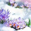 ���� �������, ���������, 72 ���� - ��������� 1 ������ 2025 � ������ ���� ����������