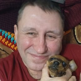 �����, ������, 53 ����