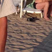 юрий, 62 года, Воронеж юрий, 62 года, Воронеж