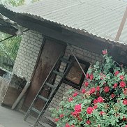 , 32 , 