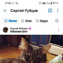 ���� ������, ������, 36 ��� - ��������� 12 ������ 2026 � ������ ���� ����������