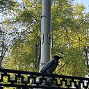 ���� ������, �������, 62 ���� - ��������� 13 ��� 2025 � ������ ���� ����������