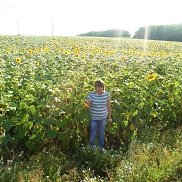 �����, 22 ����, �����