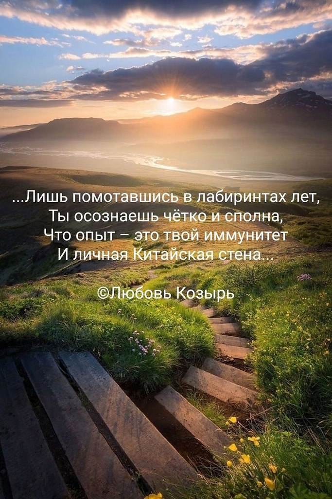 �������� ������ - 16 ���� 2026 � 14:26