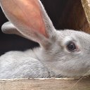 ���� �������, ������� ��������, 40 ��� - ��������� 3 ������� 2026 � ������ ����, ����, �������, �������� � ��� � ����