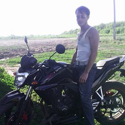 ����, ������, 36 ���