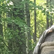 , 46 , 