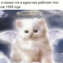 ���� L, �������, 30 ��� - ��������� 13 ������� 2026