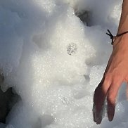 ������, 45 ���, ���������