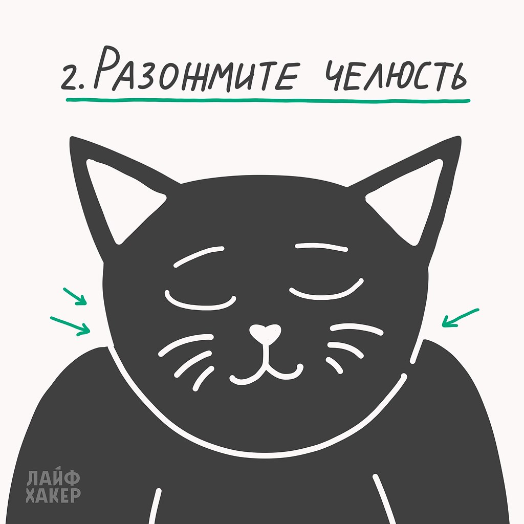   . - 3