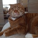 ���� �*******� (�� ���������), ����������� - ��������� 12 ������� 2024 � ������ ���� ����������