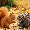 ���� �������, ������, 68 ��� - ��������� 23 ������� 2024 � ������ ������ ��������