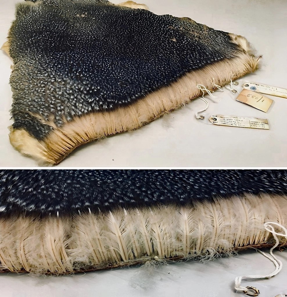 ���� �� ������ ������, ��� � ��������� ������� ����, �� ������ ���� ������������� � ��� ���������. ...