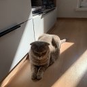 ���� �����, ������, 34 ���� - ��������� 31 ����� 2026