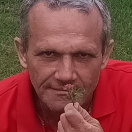 �����, ������, 54 ����