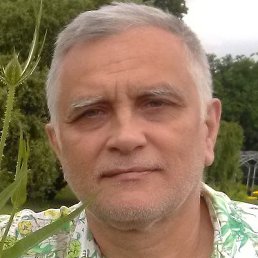 , 59 , 