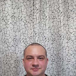 , 41, 