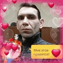 , 41, 