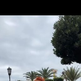 , 49, 