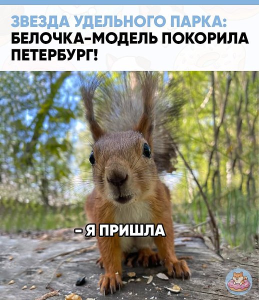 �������� ������� ���������������� �������� ���������, ������� ����� ���������� ���������� ����� ...