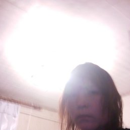 ���, ������, 41 ���