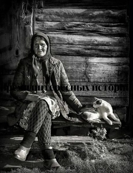 Ты, мама, нам больше не нужна! Татьяна Ивановна сидела в своём холодном домике, в котором пахло ...