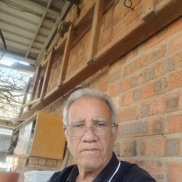 , 65, 